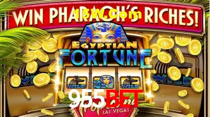 955Bet - cassino ao vivo